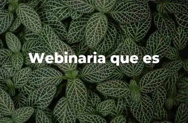 Webinaria que es