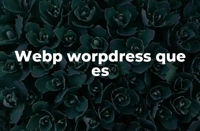 Webp Worpdress que es