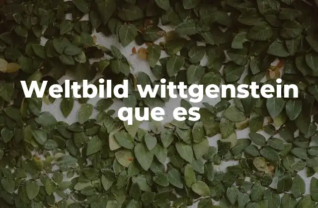 La noción de representación en la filosofía de Wittgenstein