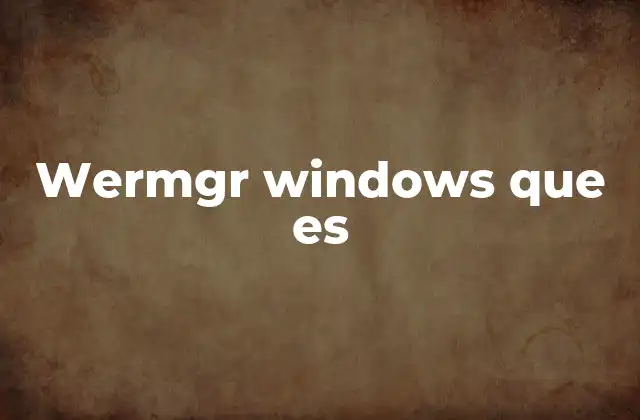 El papel de los informes de errores en Windows