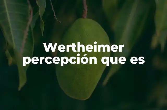 Wertheimer Percepción que es