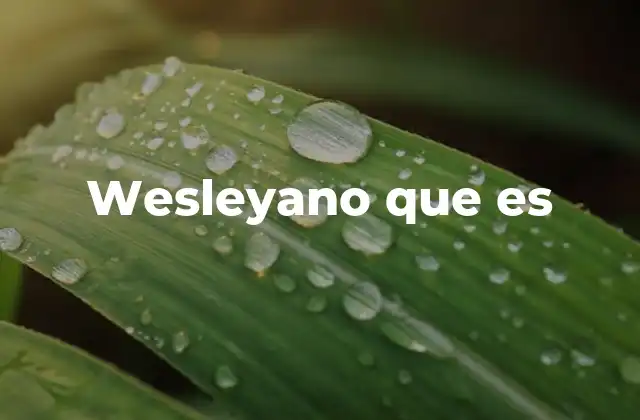 Wesleyano que es