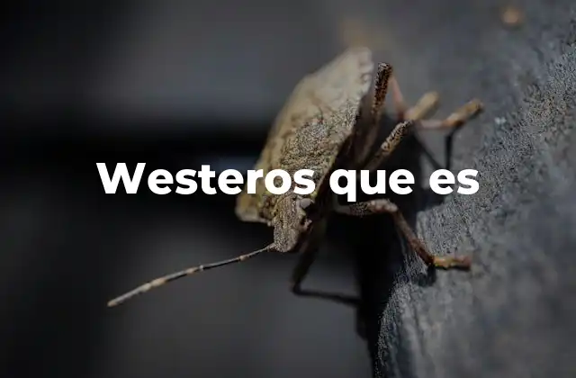 El mundo de Westeros y su importancia en la narrativa