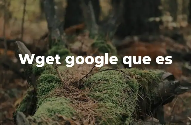 Wget Google que es
