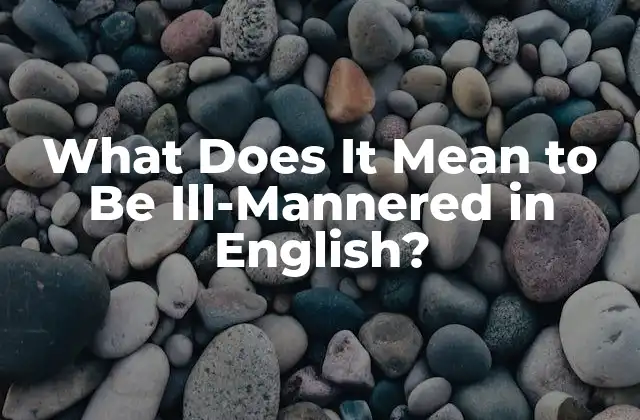 Definición de Maleducación en Inglés