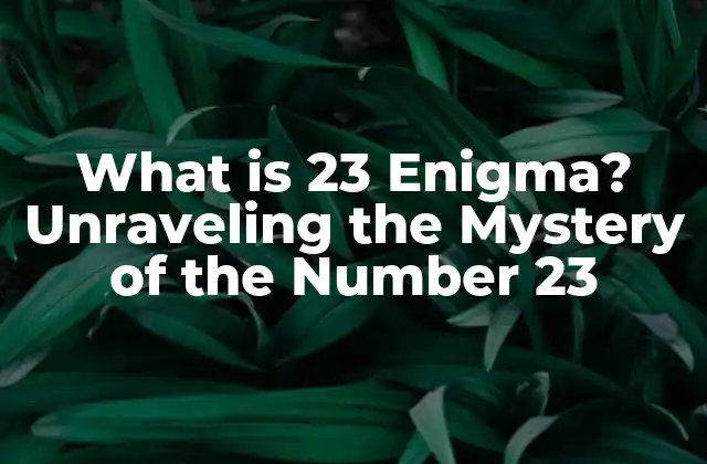 What Is 23 Enigma? Unraveling The Mystery Of The Number 23