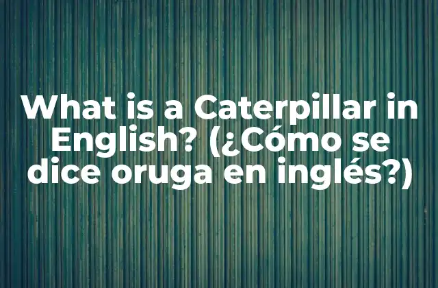 What Is a Caterpillar In English? (¿cómo Se Dice Oruga en Inglés?)