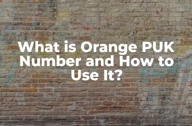 What Is Orange Puk Number And How To Use It?