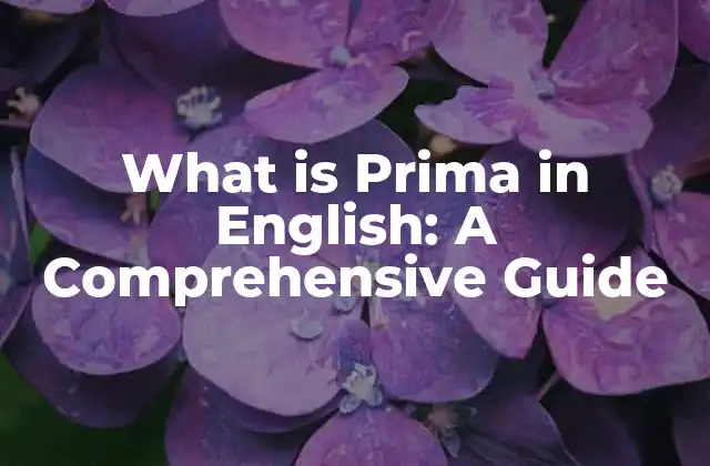 What Is Prima In English: a Comprehensive Guide