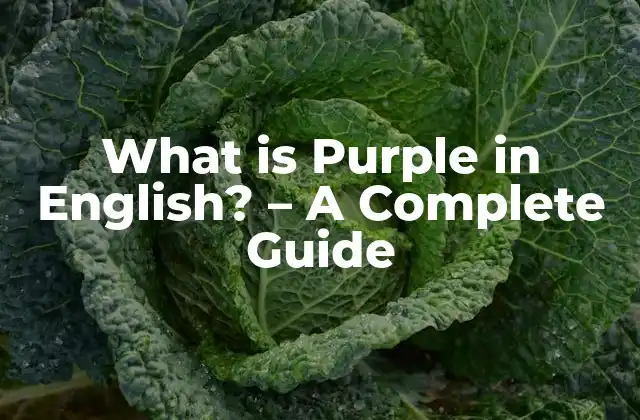What Is Purple In English? – a Complete Guide