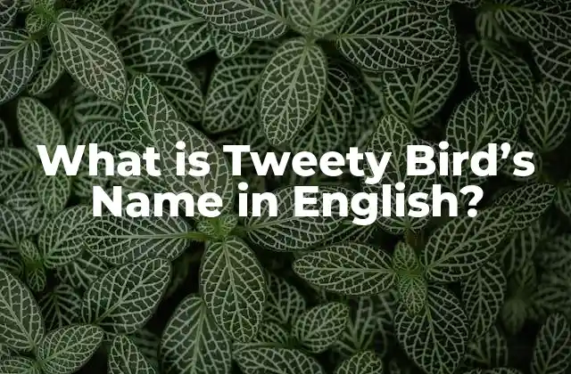 What Is Tweety Bird’s Name In English?