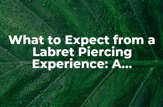 What To Expect From a Labret Piercing Experience: a Comprehensive Guide