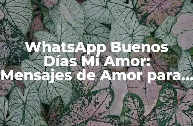 Whatsapp Buenos Días Mi Amor: Mensajes de Amor para Iniciar el Día con Energía