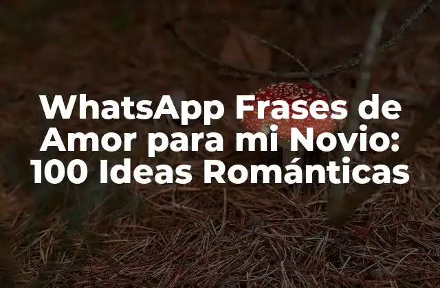 Whatsapp Frases de Amor para Mi Novio: 100 Ideas Románticas