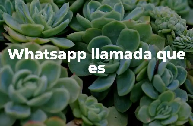 Whatsapp Llamada que es