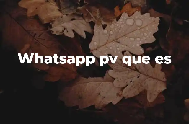 Whatsapp Pv que es