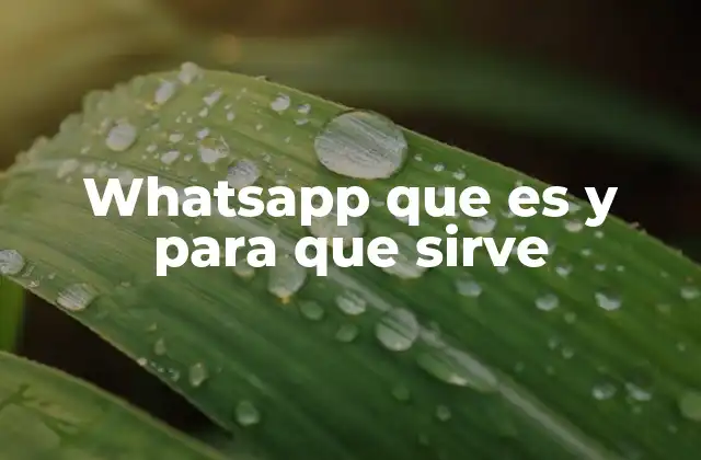 Whatsapp que es y para que Sirve