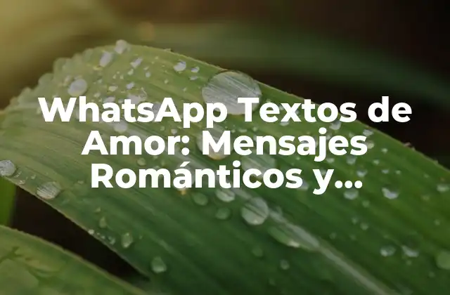 ¿Por qué los Textos de Amor son Importantes en una Relación?