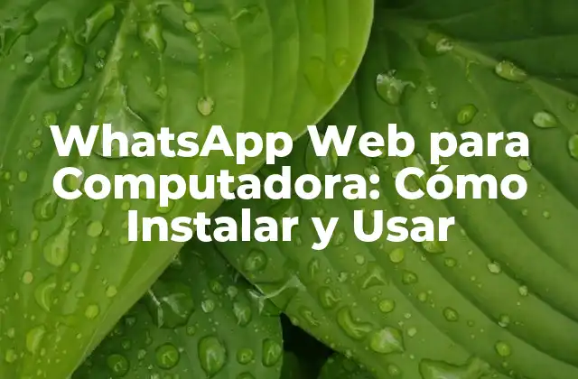 Whatsapp Web para Computadora: Cómo Instalar y Usar 2 ¿Qué es WhatsApp Web para Computadora?