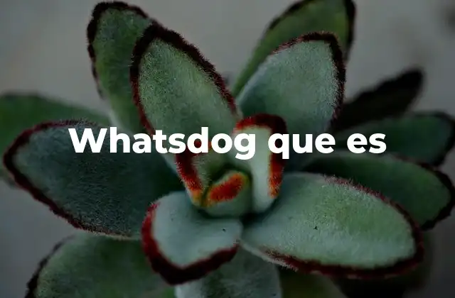 Whatsdog que es