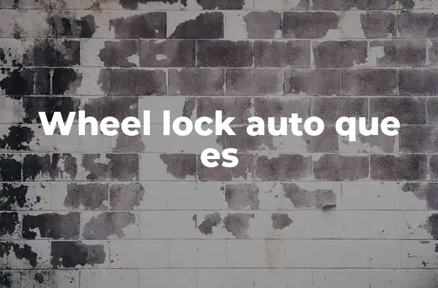 Wheel Lock Auto que es 2 La importancia de los dispositivos de seguridad en vehículos