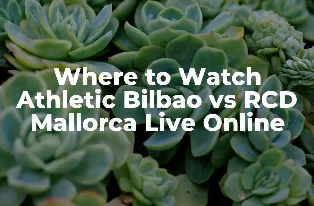 Where To Watch Athletic Bilbao Vs Rcd Mallorca Live Online 2 Importancia de Ver el Partido en Vivo