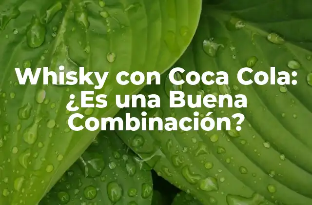 Orígenes del Whisky y la Coca Cola