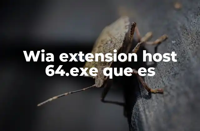 Wia Extension Host 64.exe que es