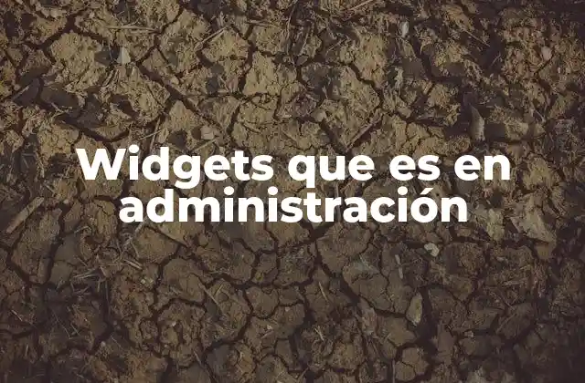 Widgets que es en Administración