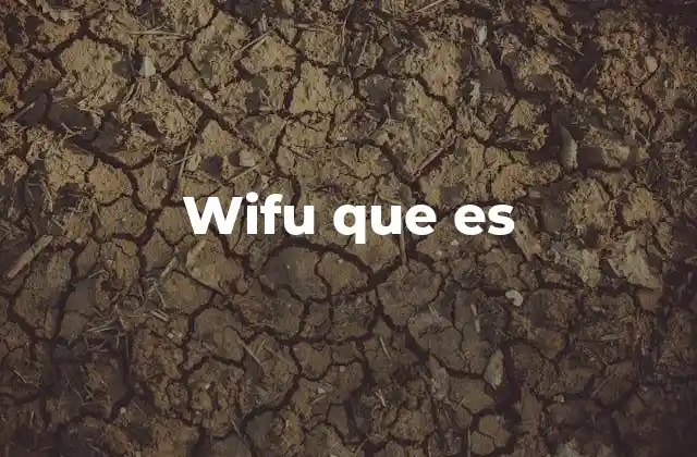 Wifu que es