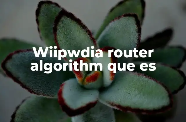 Wiipwdia Router Algorithm que es