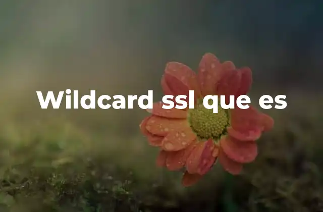 Wildcard Ssl que es 2 La importancia de los certificados SSL en la seguridad digital