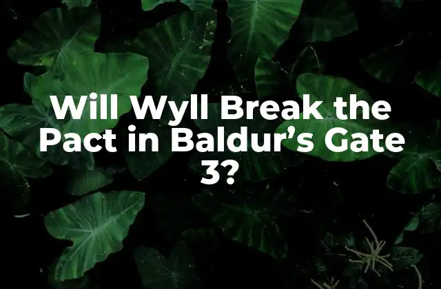 Will Wyll Break The Pact In Baldur's Gate 3? 2 ¿Quién es Wyll en Baldur's Gate 3?
