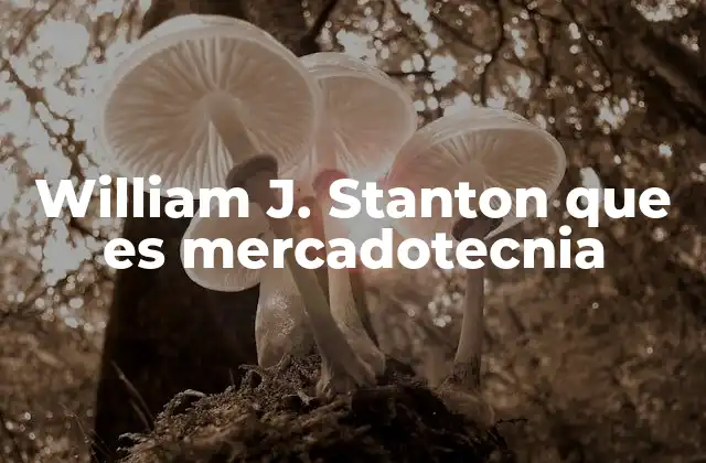 William J. Stanton que es Mercadotecnia