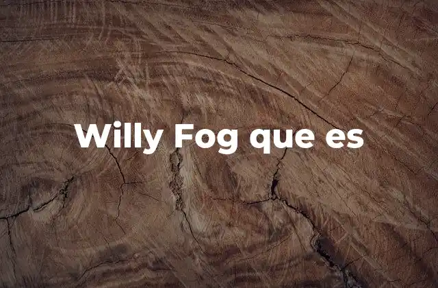 Willy Fog que es
