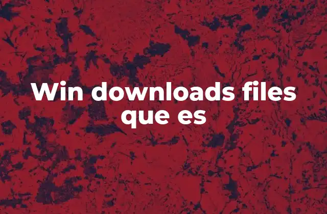Win Downloads Files que es