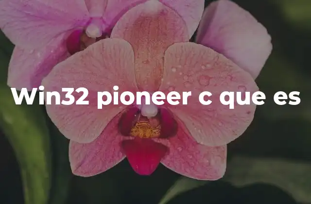 Win32 Pioneer C que es