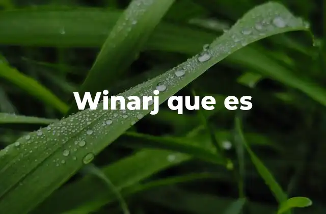 Winarj que es