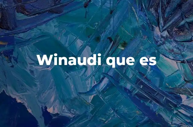 Winaudi que es