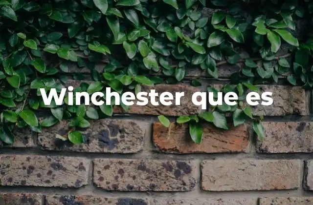 Winchester que es