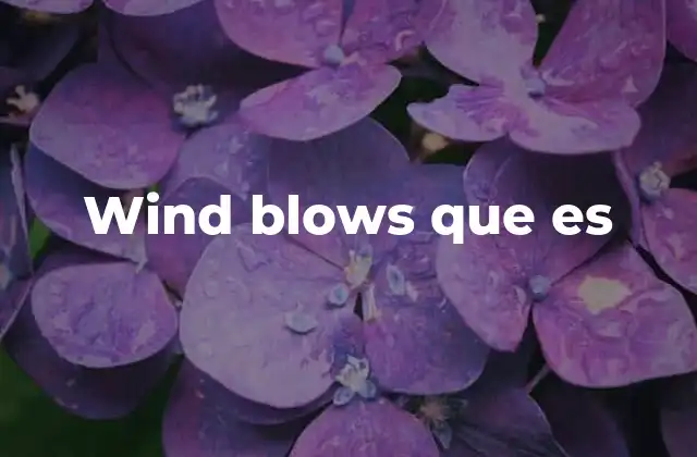 Wind Blows que es