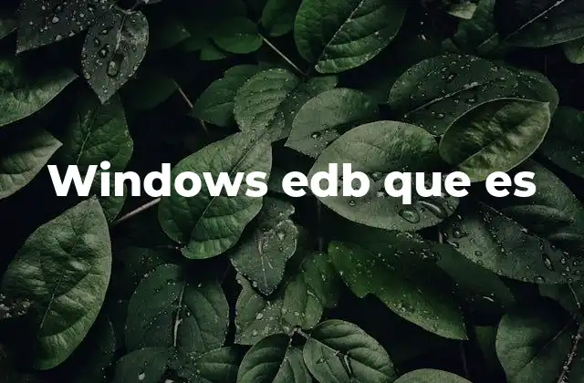 Windows Edb que es