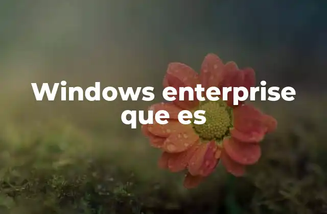 Windows Enterprise que es