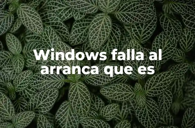 Windows Falla Al Arranca que es