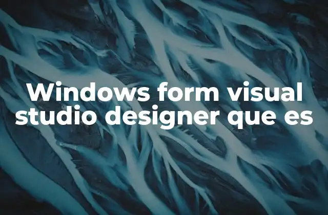 Windows Form Visual Studio Designer que es