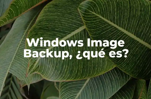 Windows Image Backup, ¿qué Es?