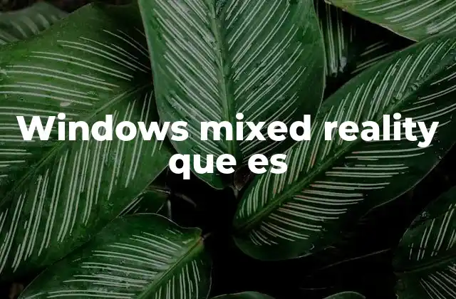 Windows Mixed Reality que es