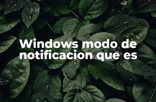 Windows Modo de Notificacion que es