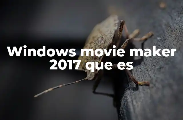 Características clave de Windows Movie Maker 2017