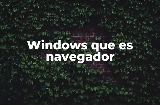 Windows que es Navegador